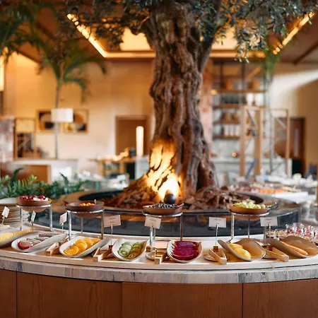 The St. Regis Cap Cana Resort-2